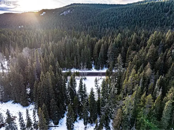 93732 E HIGHWAY 26, Government Camp, OR 97028