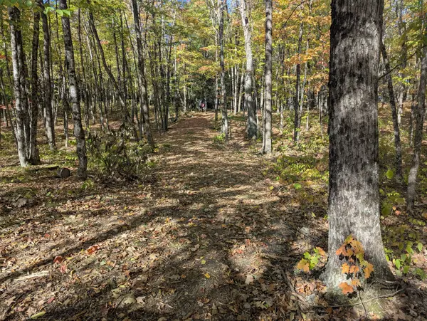 0 Kushog Lake RD, Algonquin Highlands, ON K0M 1S0