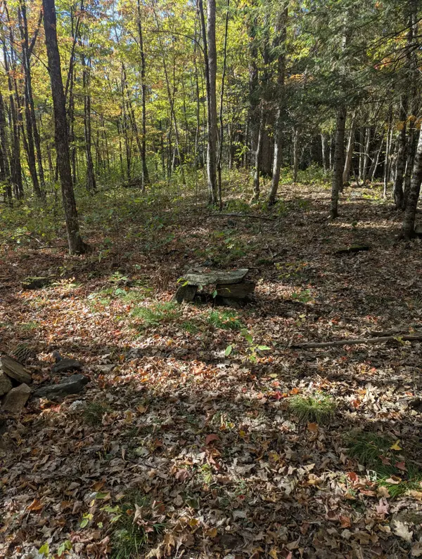 0 Kushog Lake RD, Algonquin Highlands, ON K0M 1S0