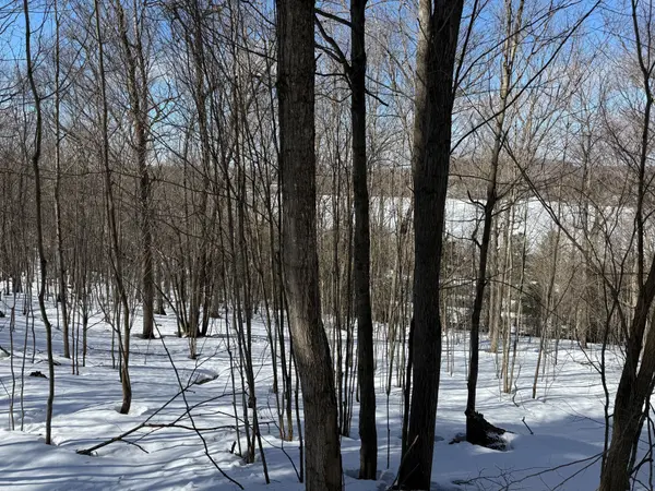 22 Walpole ST W, Huntsville, ON P1H 1V3