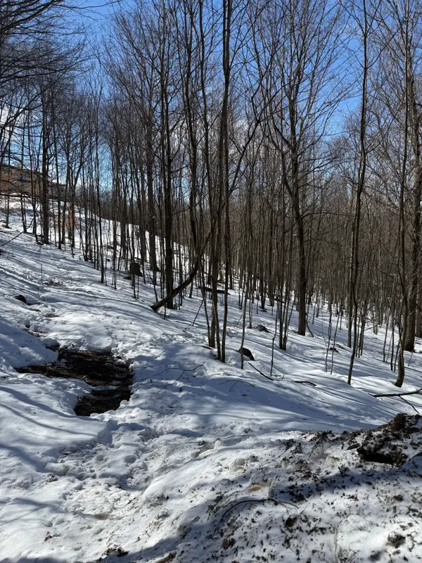 22 Walpole ST W, Huntsville, ON P1H 1V3