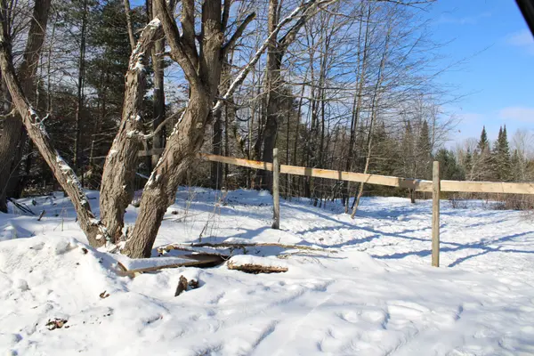 494 Twin Sister Lakes RD, Marmora And Lake, ON K0K 2M0