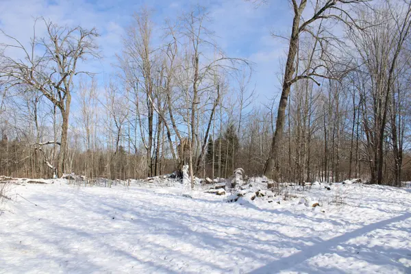 494 Twin Sister Lakes RD, Marmora And Lake, ON K0K 2M0