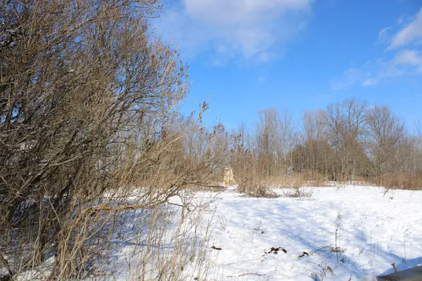 494 Twin Sister Lakes RD, Marmora And Lake, ON K0K 2M0