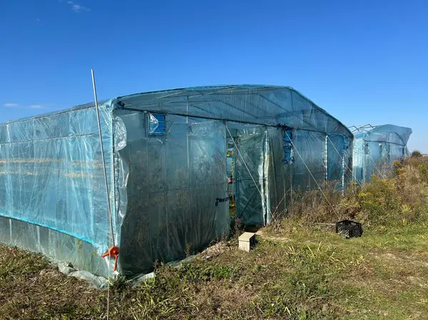 2065B Thorah Concession Rd 4 RD, Brock, ON L0K 1A0