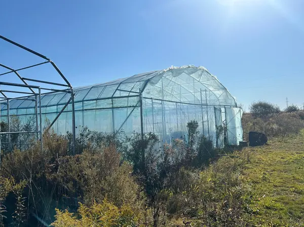 2065B Thorah Concession Rd 4 RD, Brock, ON L0K 1A0