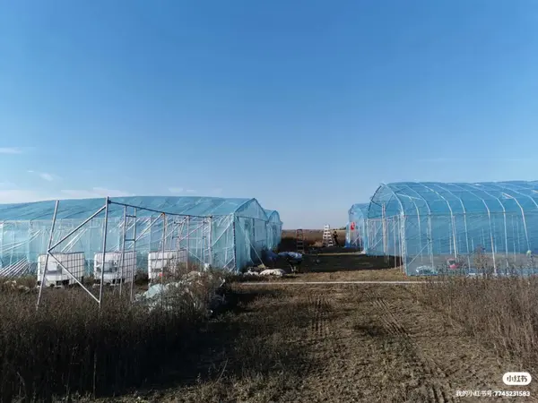 2065B Thorah Concession Rd 4 RD, Brock, ON L0K 1A0