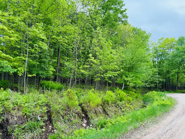 23 Maple Ridge RD, Nipissing, ON P0A 1Z0