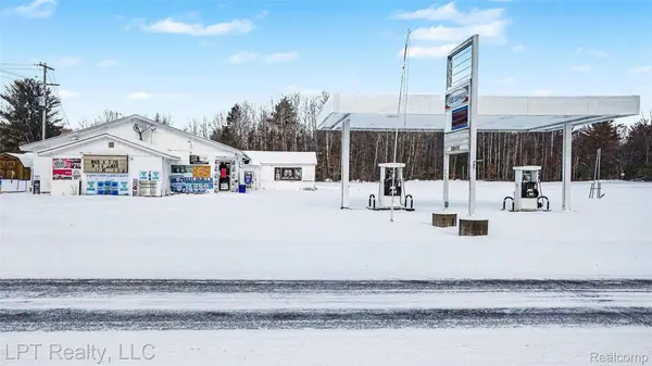 1450 Jefferson RD, Lincoln Township, MI 48625