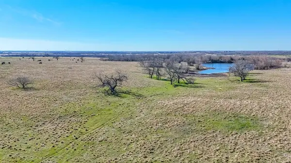 2355 County Road 2040 - 115.31 Acres, Corsicana, TX 75110
