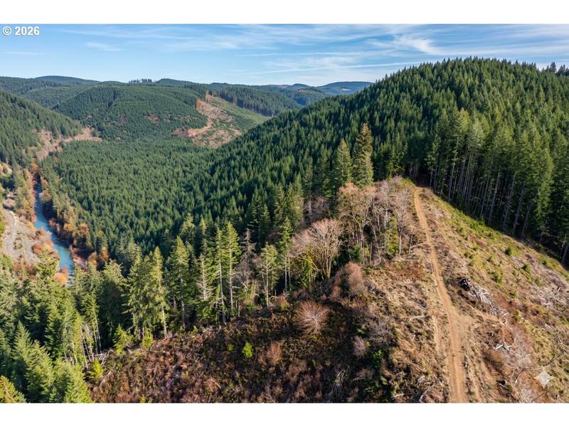 Upper Smith River RD #TL1500, Reedsport, OR 97467