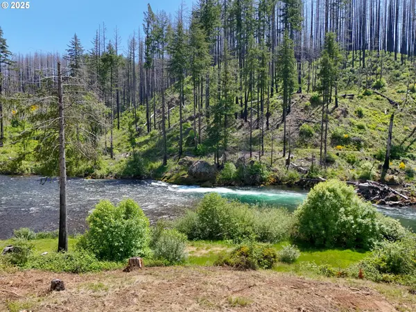 47772 MCKENZIE HWY, Vida, OR 97488