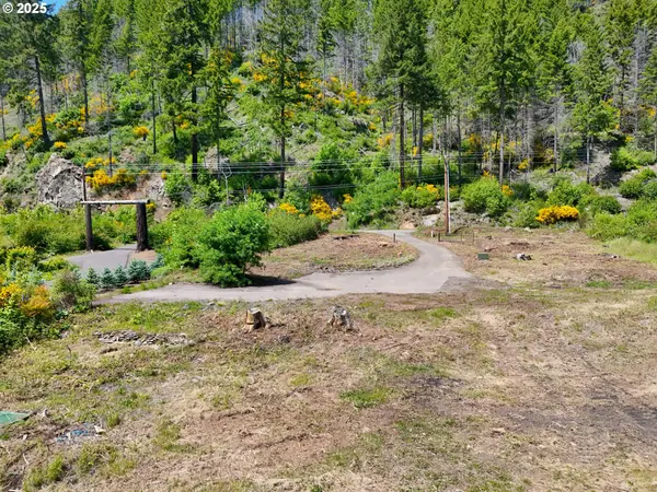 47772 MCKENZIE HWY, Vida, OR 97488