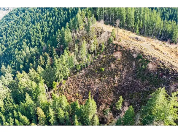 Upper Smith River RD #TL1500, Reedsport, OR 97467