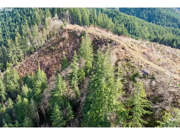 Upper Smith River RD #TL1500, Reedsport, OR 97467