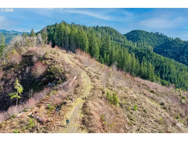 Upper Smith River RD #TL1500, Reedsport, OR 97467