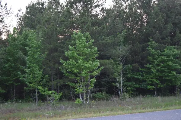 #1 Ryans Way, Minden, LA 71055