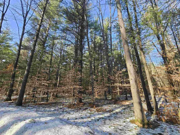 Lot 45 Woodwind DR, Haring Twp, MI 49601