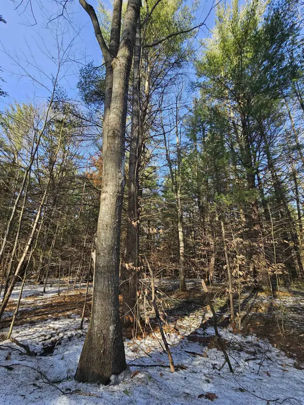 Lot 45 Woodwind DR, Haring Twp, MI 49601