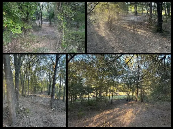 00 US 271, Arthur City, TX 75411