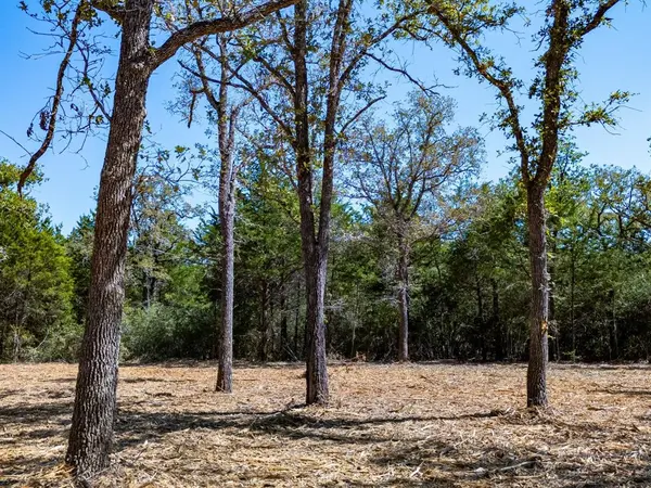 12345 Country Road 414, Somerville, TX 77879