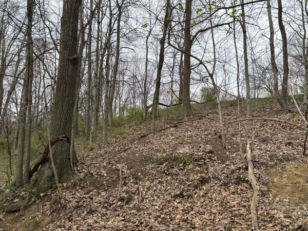 14 Dove, Athens, OH 45701