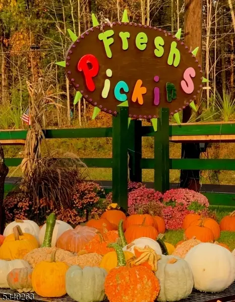 187 Us Highway 206, Sandyston Twp., NJ 07851