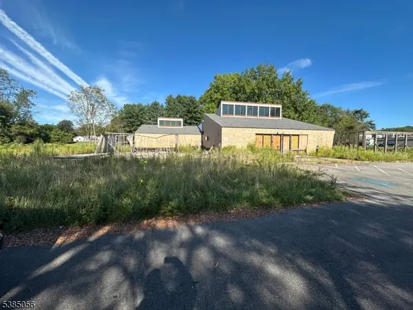 10 Brass Castle Rd, Washington Boro, NJ 07882