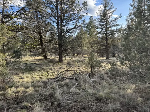 Bonanza, OR 97623,Canvasback DR #36