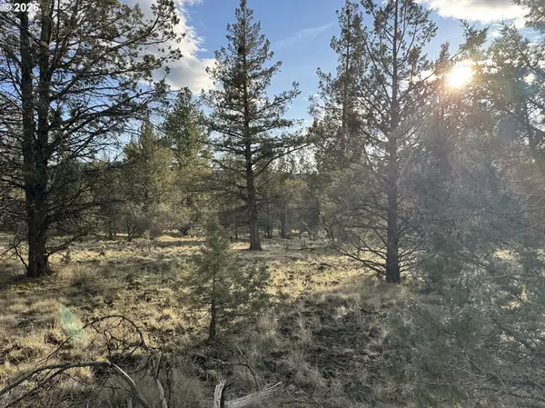 Bonanza, OR 97623,Canvasback DR #36