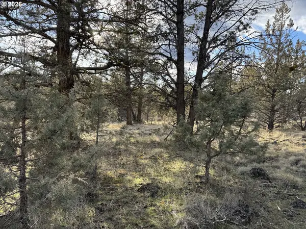 Canvasback DR #36, Bonanza, OR 97623