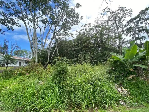MOANA ST, Pahoa, HI 96778