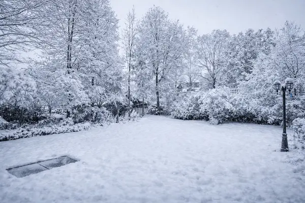 25 Holgate ST, Barrie, ON L4N 2T6