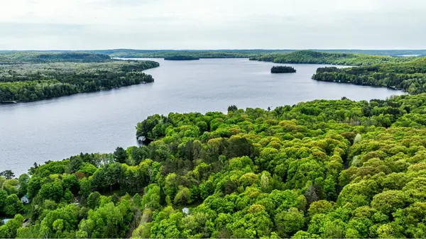 1028 Ronville RD, Lake Of Bays, ON P0A 1H0