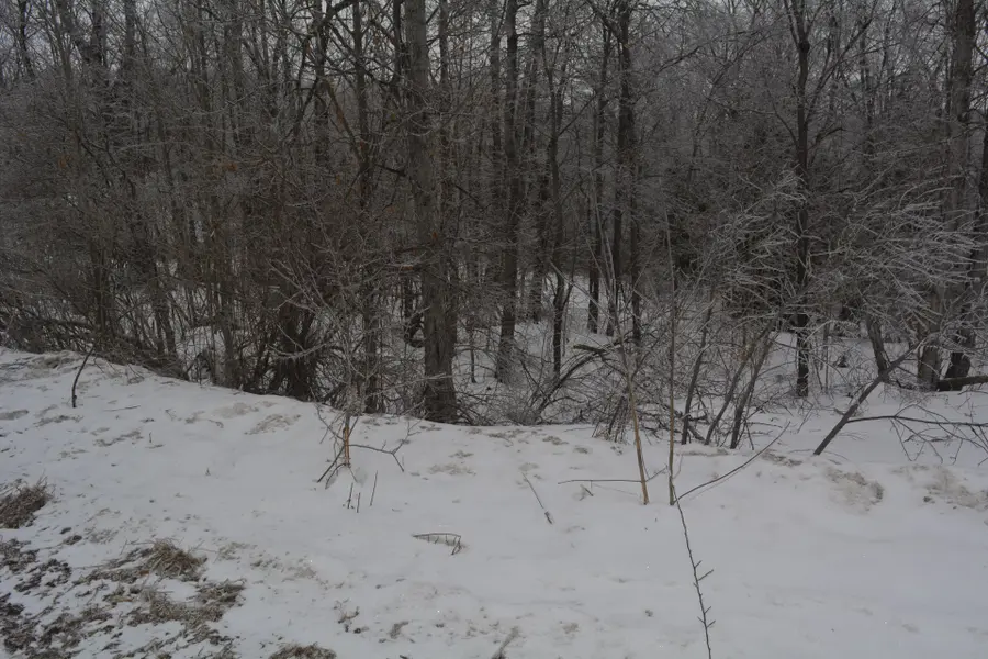 0 Sucie RD, Highlands East, ON K0L 2A0