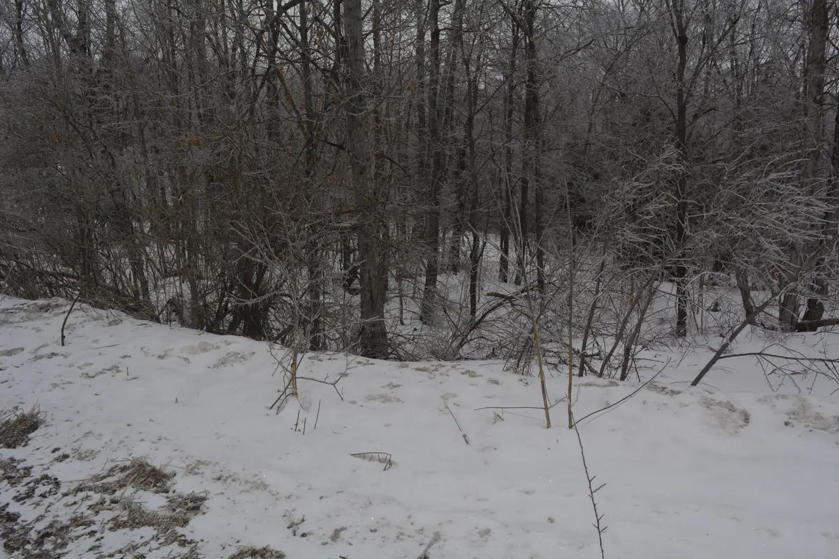 0 Sucie RD, Highlands East, ON K0L 2A0