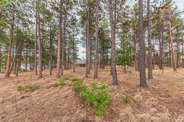 1290 Firestone DR, Woodland Park, CO 80863