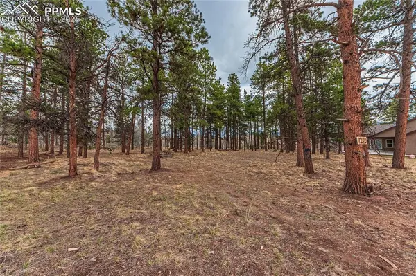 1290 Firestone DR, Woodland Park, CO 80863