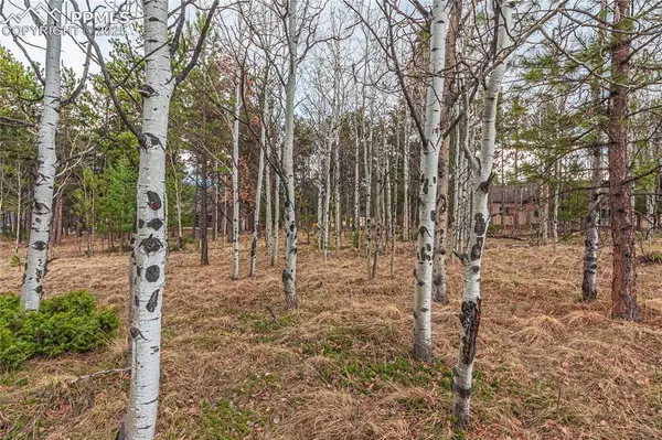 1290 Firestone DR, Woodland Park, CO 80863