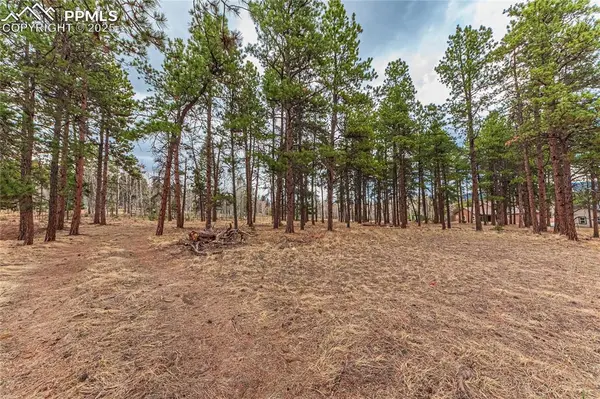 1290 Firestone DR, Woodland Park, CO 80863