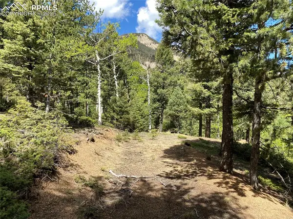 210 Waterfall LOOP, Manitou Springs, CO 80829