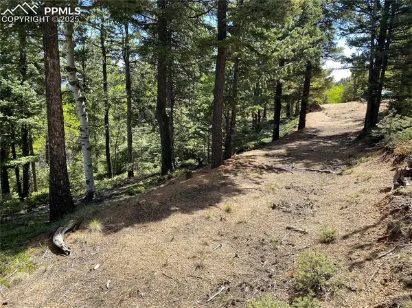 210 Waterfall LOOP, Manitou Springs, CO 80829