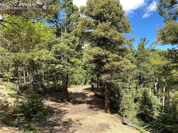 210 Waterfall LOOP, Manitou Springs, CO 80829