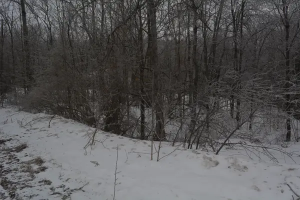 0 Sucie RD, Highlands East, ON K0L 2A0