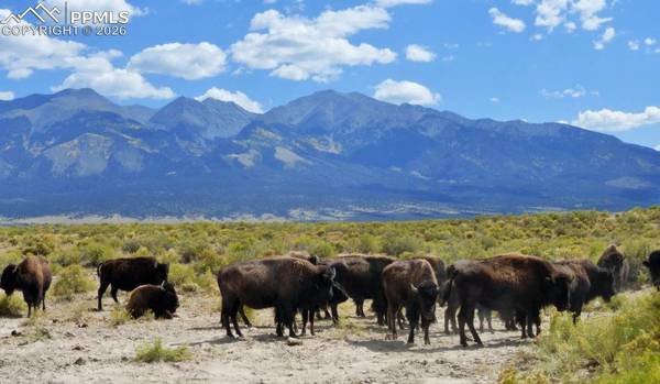 6150 Tim RD, Garcia, CO 81152