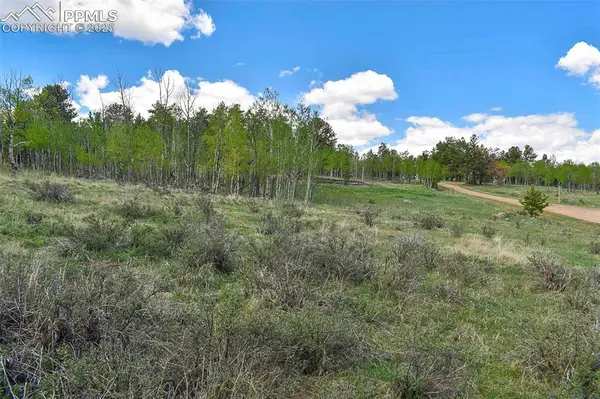 130 Rock DR, Guffey, CO 80820