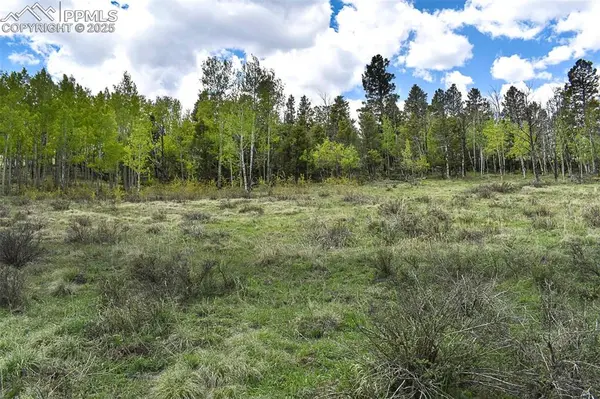 130 Rock DR, Guffey, CO 80820