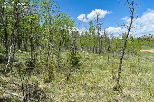 130 Rock DR, Guffey, CO 80820