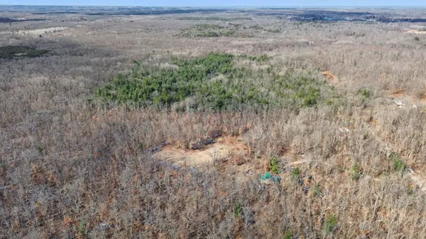 810 3 Mile RD, Wilcox Twp, MI 49349