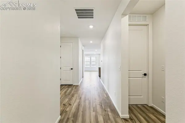 4469 Soapberry PL, Castle Rock, CO 80108